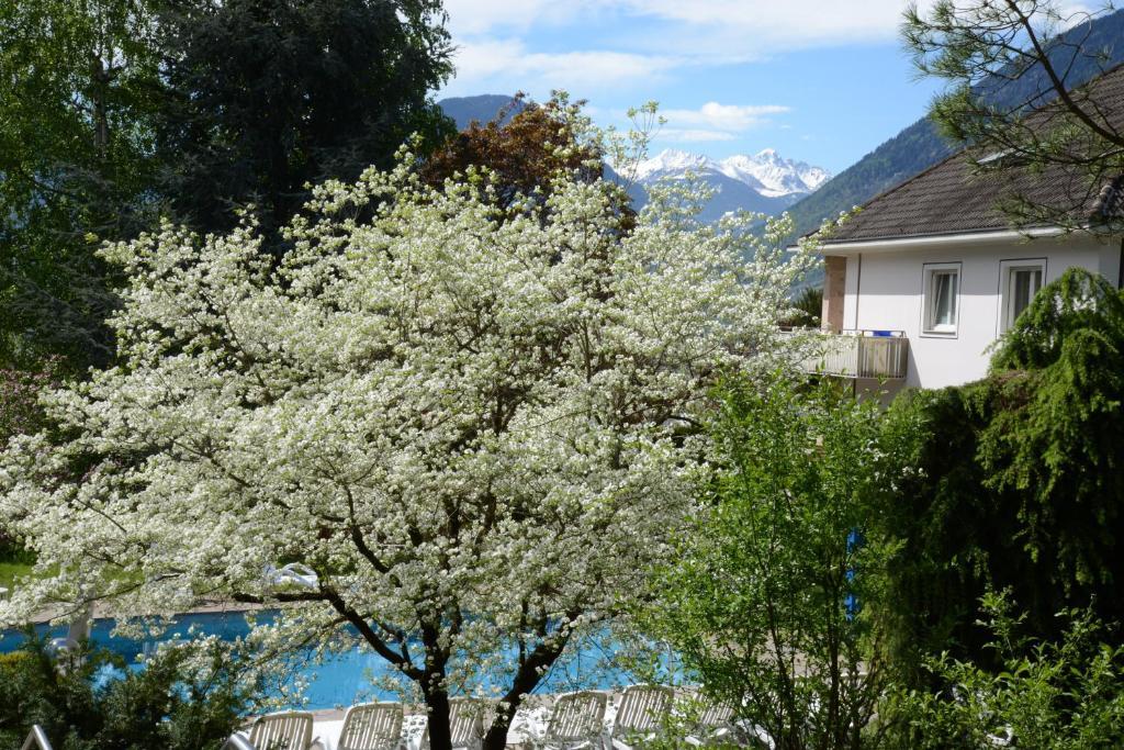Hotel Tannerhof Мерано Экстерьер фото